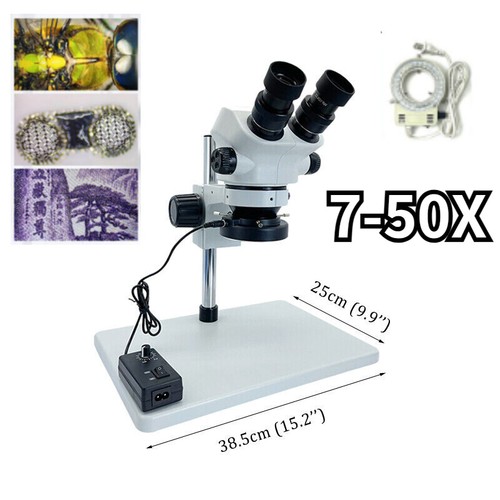 Binocular stereo microscope - binocular,
